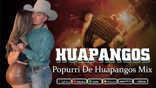 Mix de Huapangos 2024  Popurri De Huapangos Chingones Mix  Para Bailar Zapateado [upl. by Glenna586]