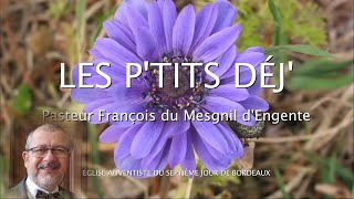 1379  Les Ptits déj spirituels  Les démons croient aussi  Jacques 219 [upl. by Eniksre449]