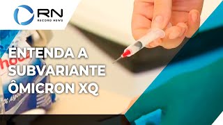 Entenda o que é a subvariante Ômicron XQ [upl. by Kirad]