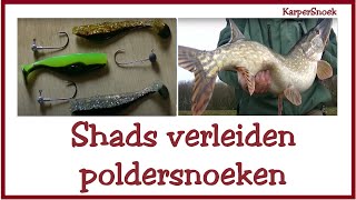 Polder SNOEKEN met SHADS vanaf de Kant  snoek [upl. by Ardnasal]