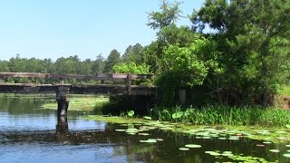 Exploring Indian Creek Recreation Area by boat [upl. by Haisa487]