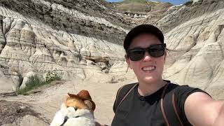 Deans Destination  Drumheller Alberta Dinosaur Horseshoe Canyon Suspension Bridge amp Hoodoos [upl. by Ailedua178]