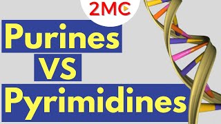 Purines vs Pyrimidines  Understanding Nitrogenous Bases of RNA and DNA [upl. by Herzen]