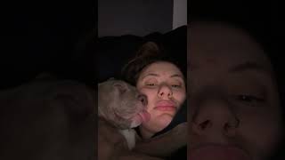 Dog Sleeps Tongue Out While Cuddling With Owner [upl. by Zizaludba]