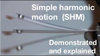 Simple harmonic motion SHM for beginners from fizzicsorg [upl. by Nemajneb]