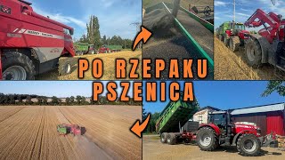 VLOG Kończymy kosić rzepak i wjeżdżamy w pszenicę Czerwone rakiety w akcji [upl. by Fabron295]