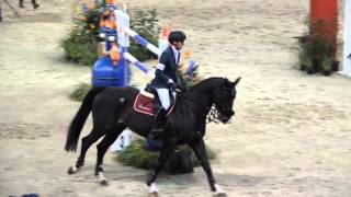 Simon Delestre Qlassic Bois Margot 5e Rolex Grand Prix Indoor Brabant 13 3 2016 [upl. by Florian]