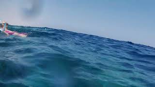 red sea coral reef Snorkling Pier  The Three Corners Egipt Marsa Alam [upl. by Herta867]