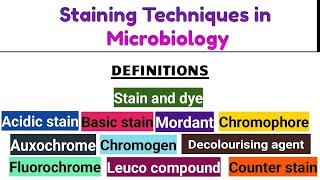 Staining Techniques in Microbiology EnglishMarathi university exam [upl. by Annovoj561]