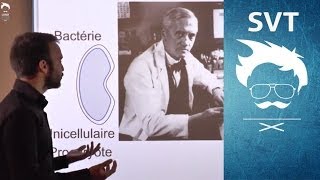 Antibiotiques amp bactéries  Perturbation du génome cancérisation et résistance aux antibiotiques [upl. by Oivalf]