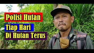 NGOBROL SINGKAT DENGAN POLISI HUTAN [upl. by Nahta887]