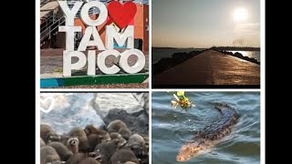 Tampico y Madero Turismo guia completa [upl. by Lita]