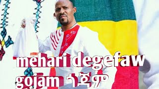 Mehari degefaw gojam new music መሀሪ ደገፋው ጎጃም ዘፈን [upl. by Charisse]