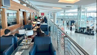 ANA Lounge at Porto Airport for Business Class  Priority Pass Aug 2024 [upl. by Darda121]