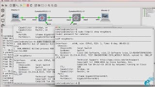 GNS3 Talks Learn Linux with Cumulus Linux and GNS3 Part 2 Ideal for networkers to learn Linux [upl. by Blayze863]