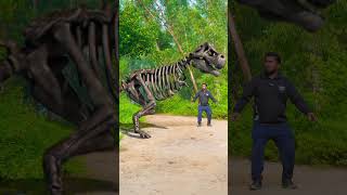 Trex Dinosaur Back to Life [upl. by Odiug]