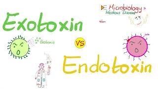 Exotoxins vs Endotoxins  Microbiology 🧫 amp Infectious Diseases 🦠 [upl. by Fiske]