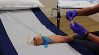 Phlebotomy  Training Video [upl. by Coralyn]