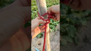 learn to tie timber hitch rope knot168 [upl. by Ausoj]