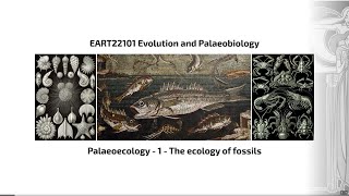 Palaeoecology Video 1  EART22101  Palaeobiology and Evolution [upl. by Bristow]