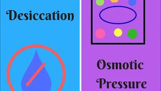 Desiccation and Osmotic Pressure  How to Study Microbiology [upl. by Nytsua591]