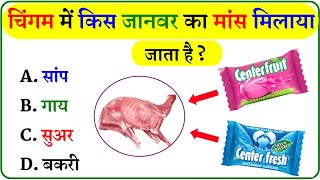 GK Question  GK In Hindi  GK Question and Answer  GK Quiz [upl. by Llenel803]