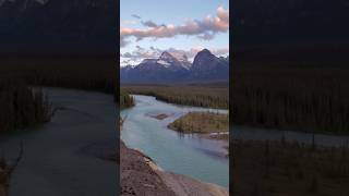 Goats and Glacier Lookout Jasper National Park jaspernationalpark canadanature naturelovers [upl. by Burrow]