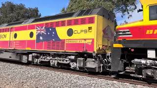 Up 7962V SSR grain with CLF3BRM002CLP9 [upl. by Amandie148]