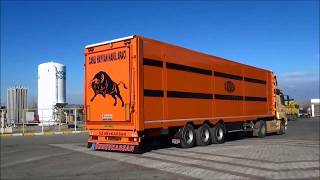 DIY Small Livestock Trailer to Load Pastured Pigs [upl. by Beekman]