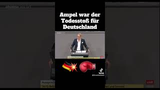 Alice Weidel zur Ampel Regierung💥⚡️ [upl. by Nageet]