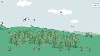 Land use land use change and forestry LULUCF [upl. by Ahsykal]