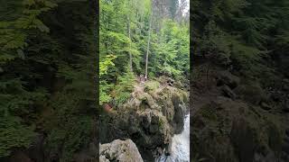 Hermitage Waterfall Scotland [upl. by Ronnoc]