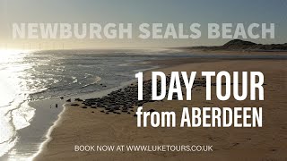 Luke Tours presents Newburgh Seals Beach  1 Day Tour from Aberdeen [upl. by Artened362]