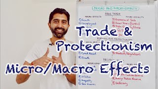 Trade amp Protectionism  MicroMacro Effects  Paper 3 Revision AQAEdexcel [upl. by Carolle]