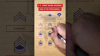 US Army Rank Insignia Enlisted Personnel [upl. by Perkins831]