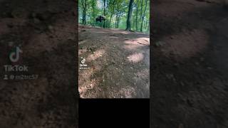 🌳ARRMA MOJAVE 4S JUMP🌳arrma mojave arrmabashing rcoffroad rc rccar forêt jump freeride [upl. by Bascomb903]