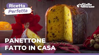 PANETTONE CON LIEVITO DI BIRRA  Fatto in casa spiegato passo passo [upl. by Ardna]