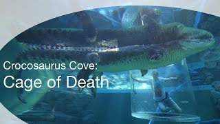 Crocosaurus Cove Swimming with a Crocodile  Cage of Death Darwin Australia [upl. by Aysa164]