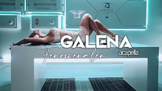 Galena  Fenomenalen Acapella [upl. by Hourihan]