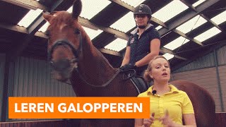 Leren galopperen l PaardenpraatTV [upl. by Carry349]