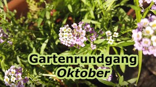 Gartenrundgang Oktober  Gartenarbeit im Oktober  Knoblauch stecken [upl. by Rinna]