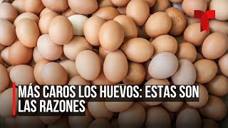 Dramático aumento en el precio de la docena de huevos [upl. by Simone]