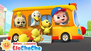 Bus Hewan Kecil  Lagu Anakanak Bus 🚌  Roda di Bis  Lagu Lucu  LiaChaCha Bahasa Indonesia [upl. by Mellette993]