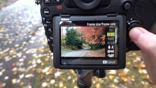 D500 4K crop factor power aperture and touch focus demo video sample [upl. by Eves]