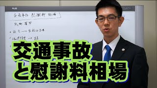 交通事故と慰謝料相場／厚木弁護士ｃｈ・神奈川県 [upl. by Inahs]