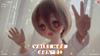 【Unboxing】Volks DDH01  Mini Dollfie Dream Custom Head [upl. by Ahcsrop]