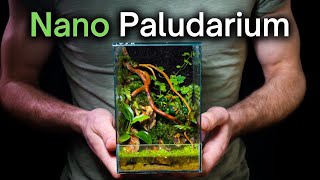 How To Make a Mini Paludarium Step By Step Beginner Tutorial [upl. by Eta206]