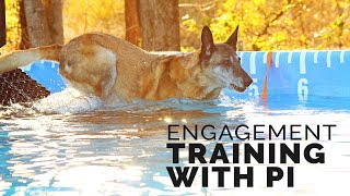 Michael Ellis Engagement Training With His Dog Pi [upl. by Busby]