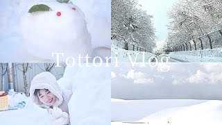 冬の鳥取暮らしvlog EngJpn ｜雪の鳥取砂丘｜巨大かまくらを作った日｜Winter in Tottori｜Tottori Sand Dunes｜Making a Huge Igloo [upl. by Anaujik290]