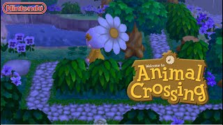 Chill rainy days 🌧 Relaxing Animal crossing music to studyrelax to w rain ambience [upl. by Anyahc]